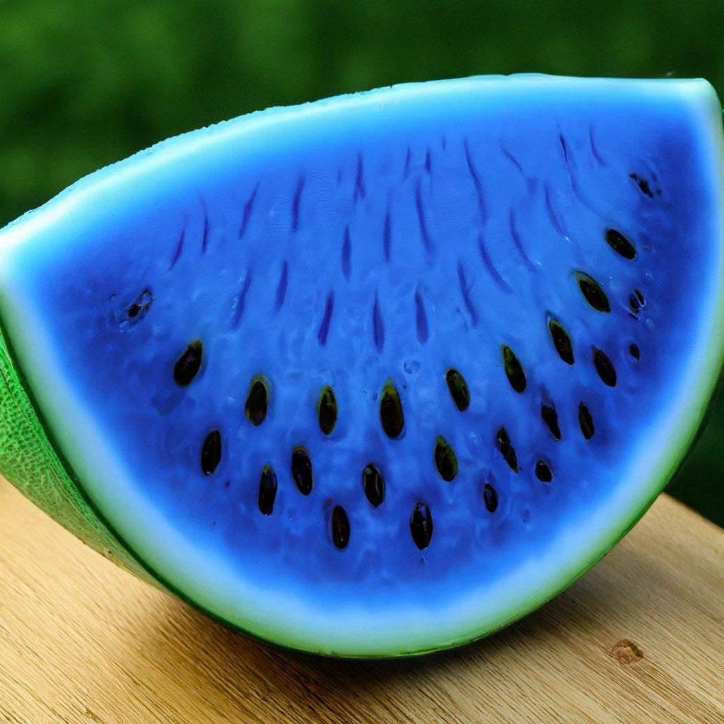 Dark Blue Watermelon Citrullus lanatus seeds for planting in home garden